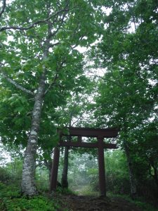 猪臥山 新緑